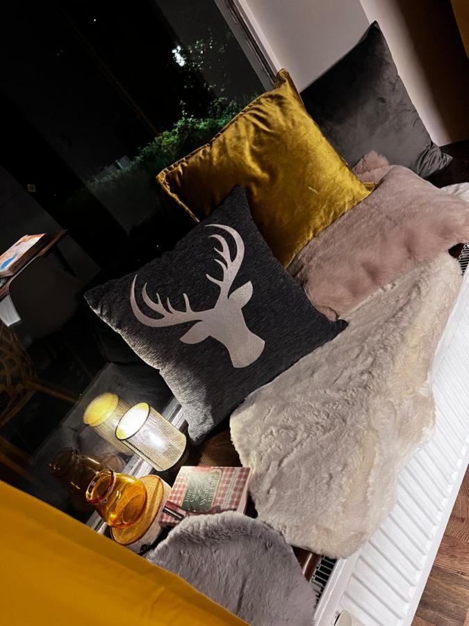 Bavaria Mountain Lodge Ski Arber Osser Bayrischer Wald Designer Ferienwohnung Лоберг Екстер'єр фото