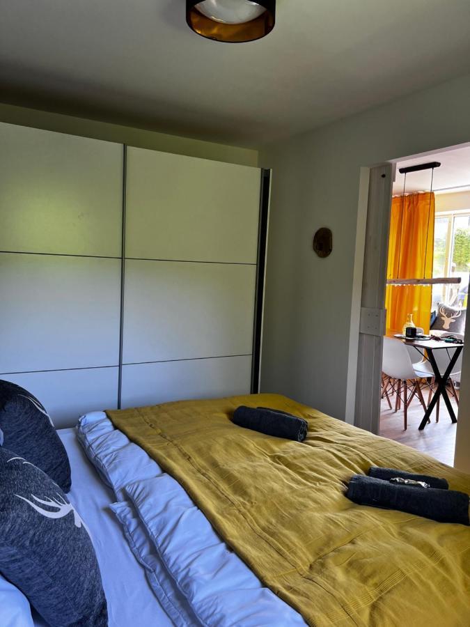 Bavaria Mountain Lodge Ski Arber Osser Bayrischer Wald Designer Ferienwohnung Лоберг Екстер'єр фото